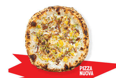 Conopizza + SOS GRATUIT